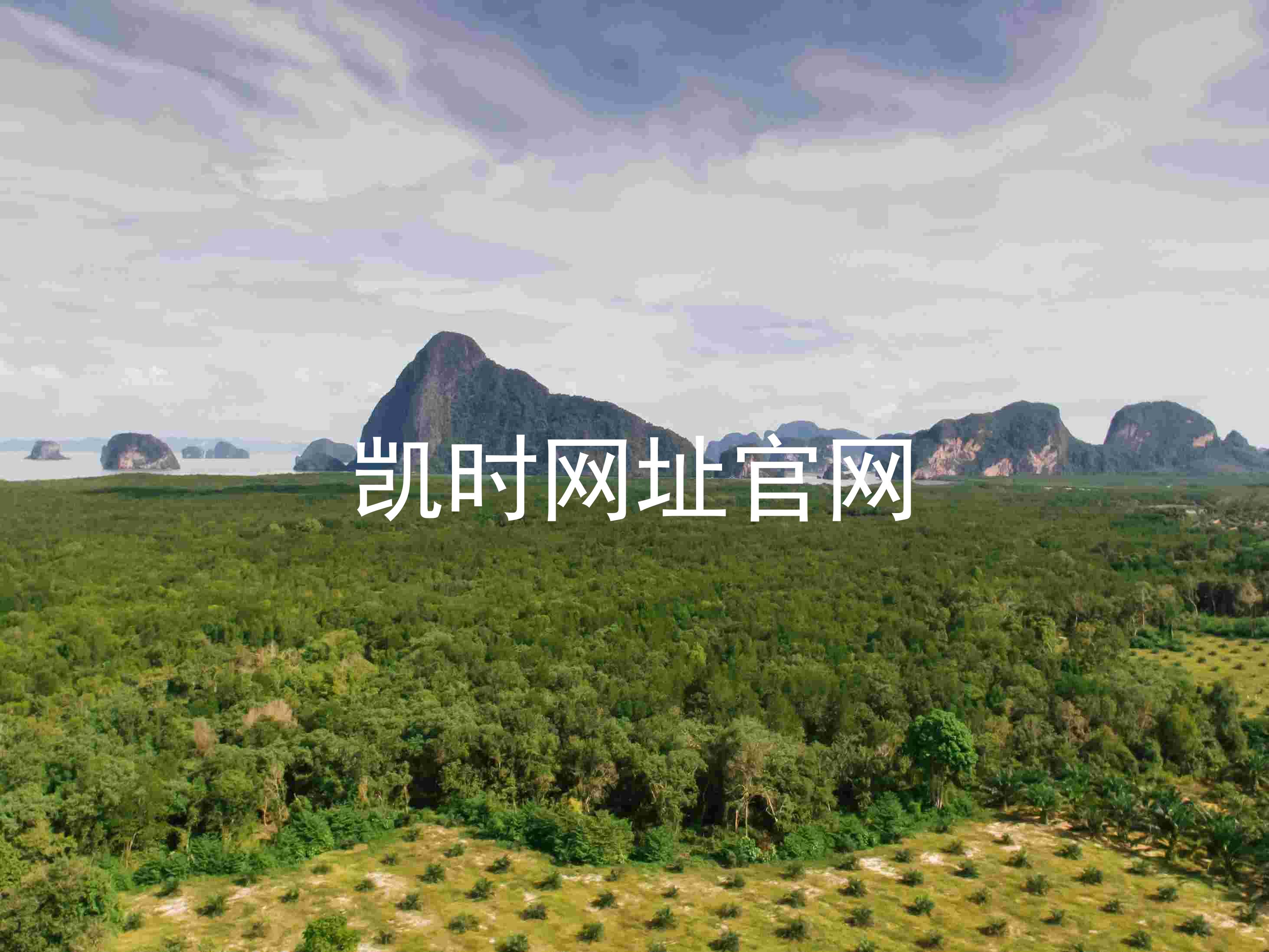 凯时网址官网