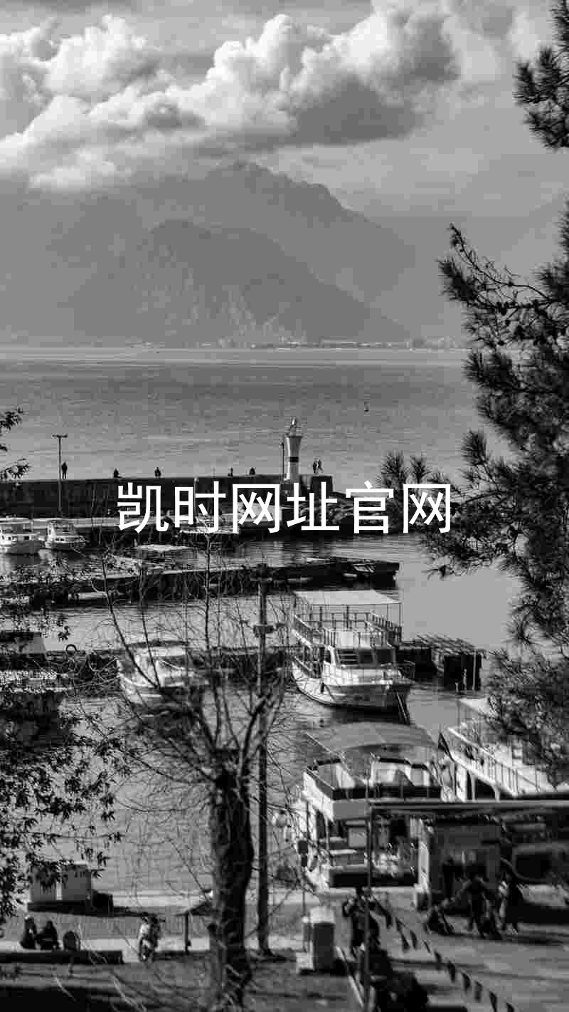 凯时网址官网