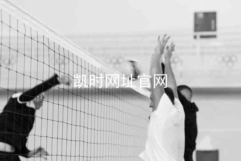 凯时网址官网