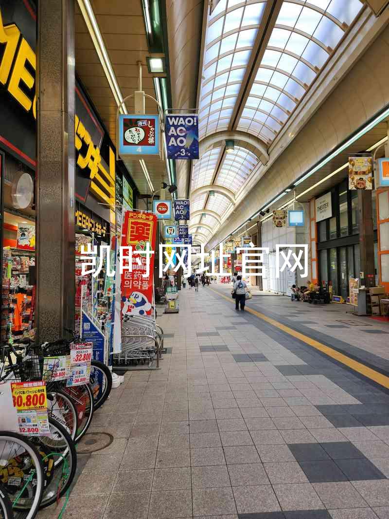 凯时网址官网