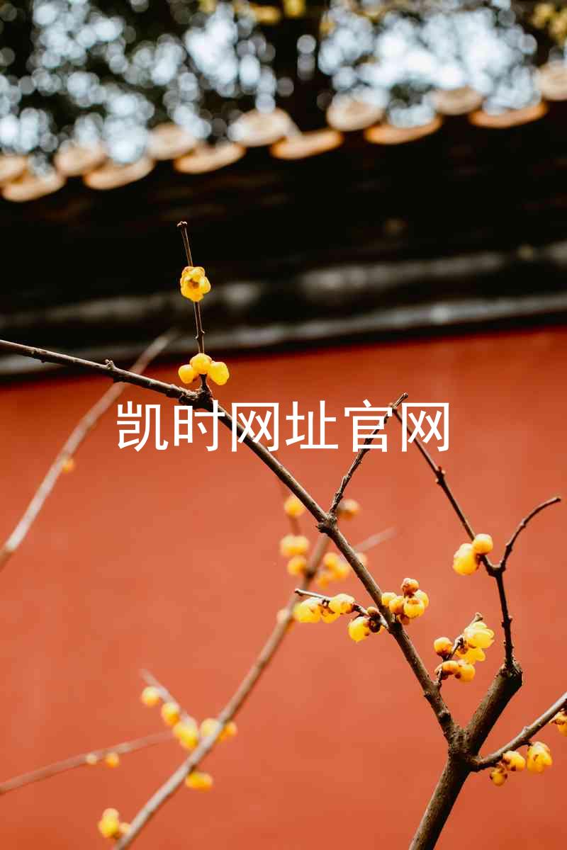 凯时网址官网